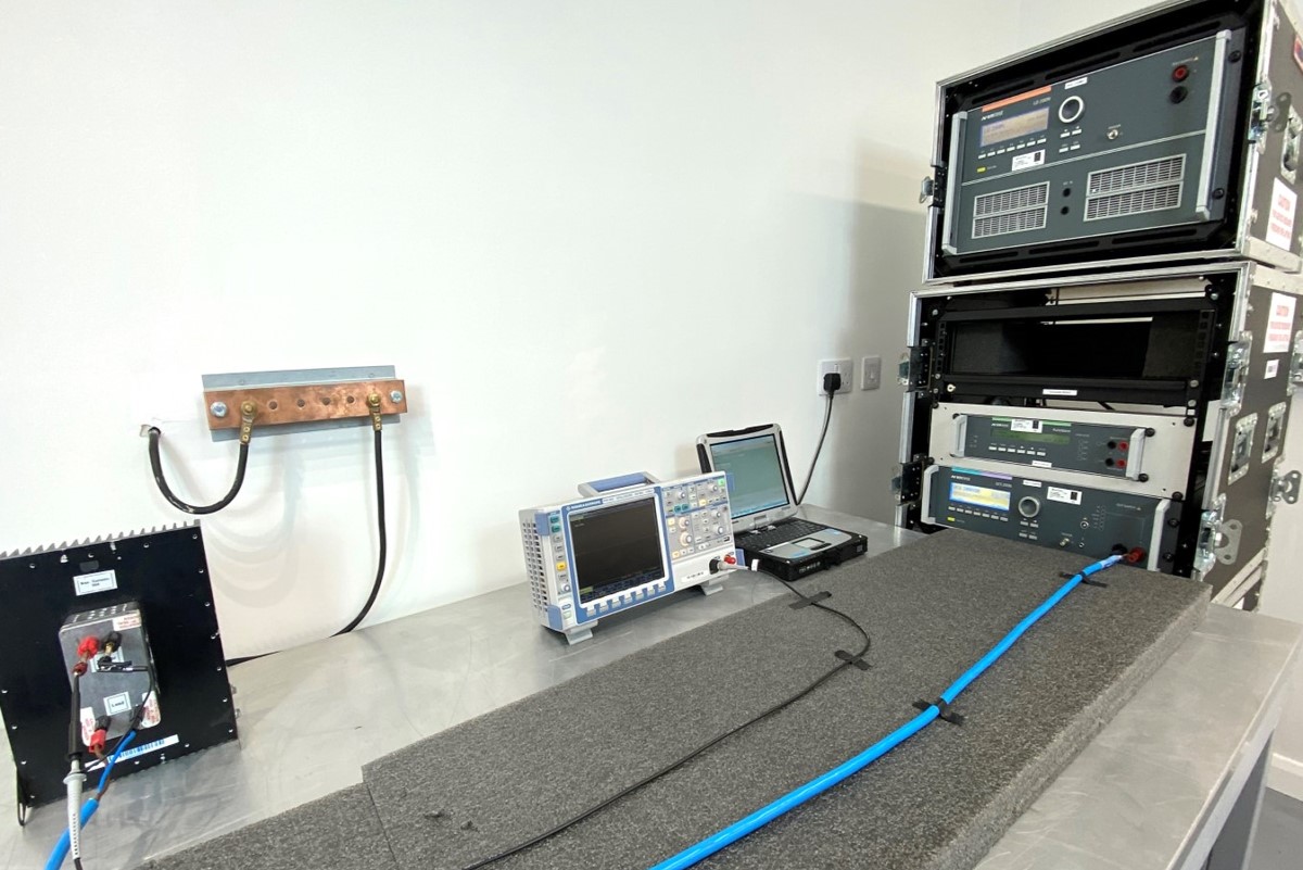 Transient Immunity System